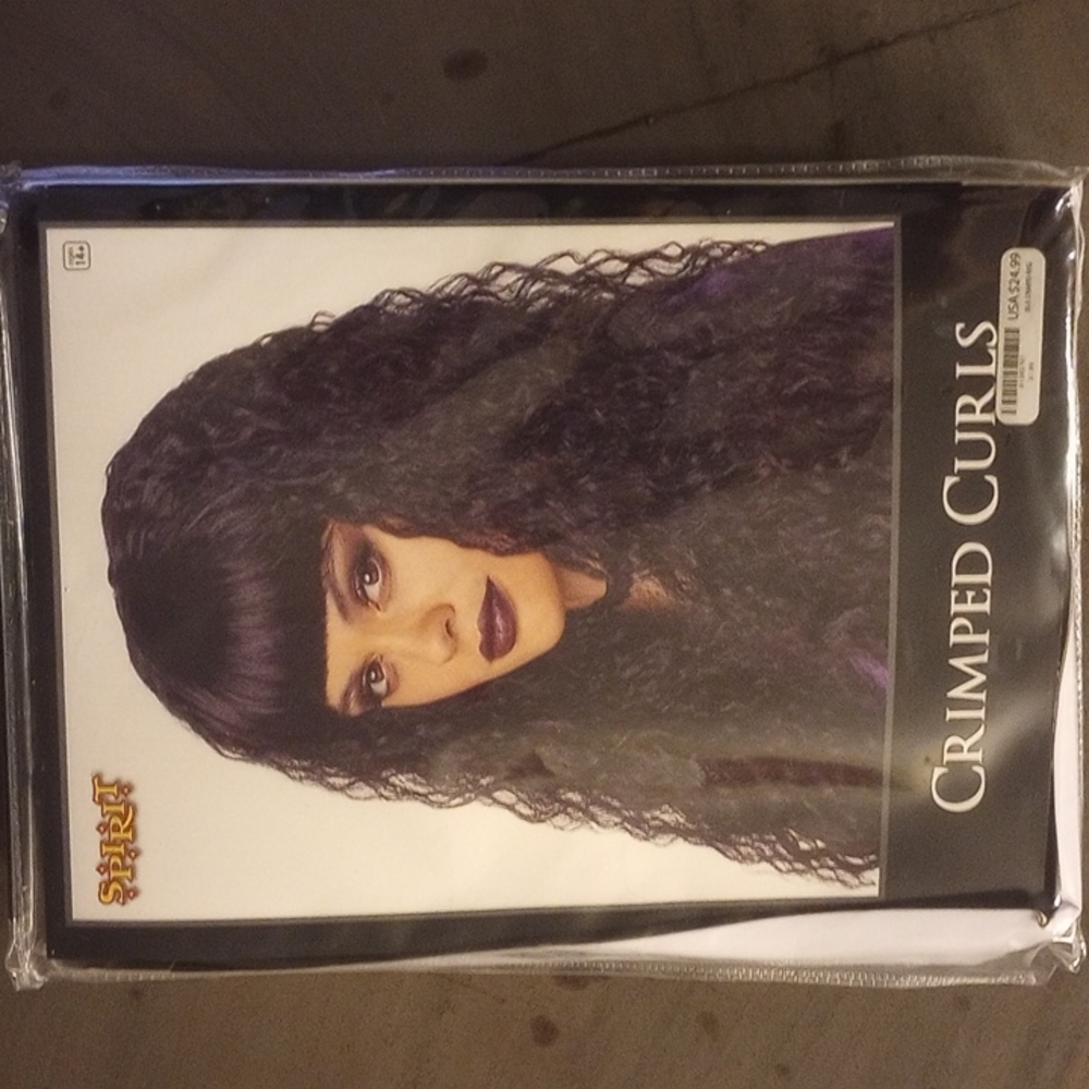 NWT Goth Punk Black Wig